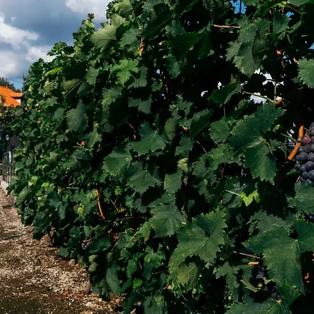 Casa Nova Maison d'hôtes