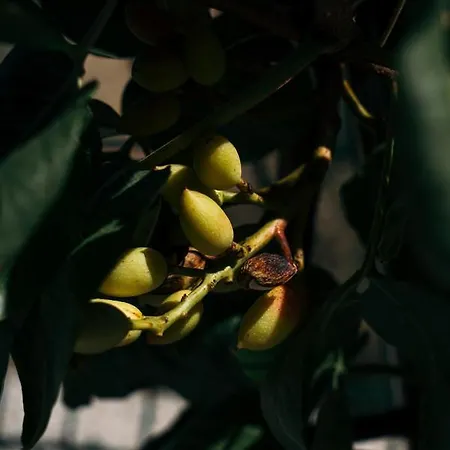 Casa Nova Maison d'hôtes Resende