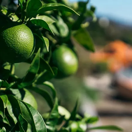 Casa Nova ゲストハウス