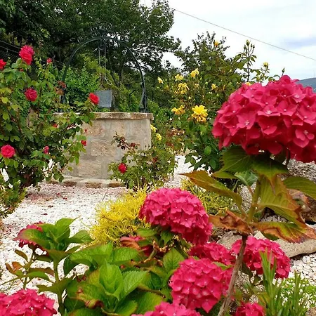 ゲストハウス Casa Nova レゼンデ