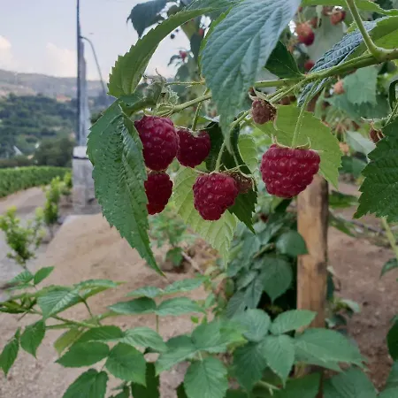 Maison d'hôtes Casa Nova 4*