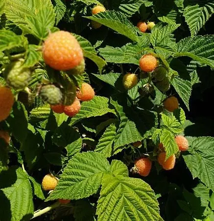 Maison d'hôtes Casa Nova