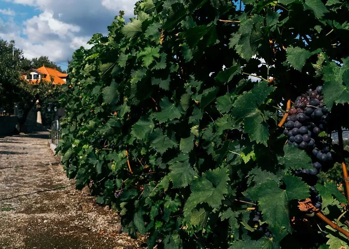 Casa Nova Casa de hóspedes