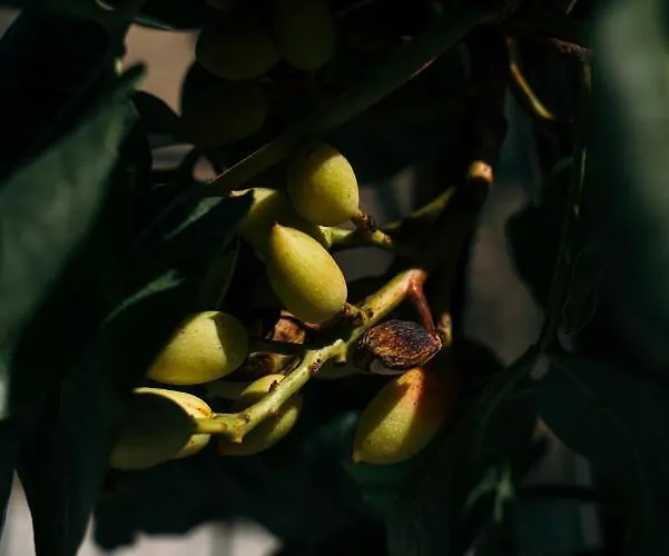 Casa Nova Casa de hóspedes Resende