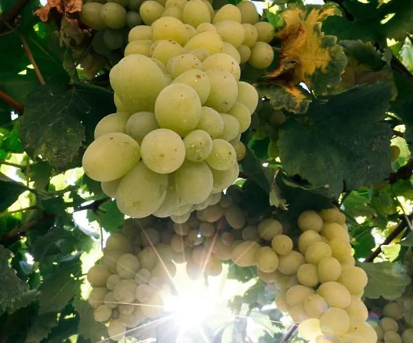 Casa de hóspedes Casa Nova Resende