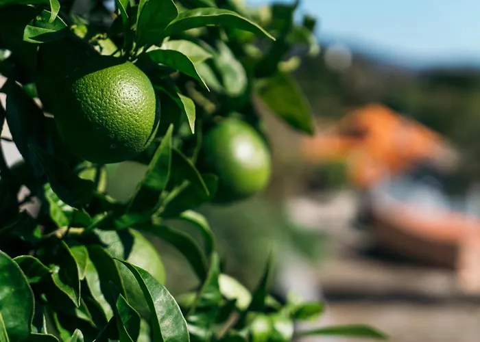 Casa Nova Casa de hóspedes