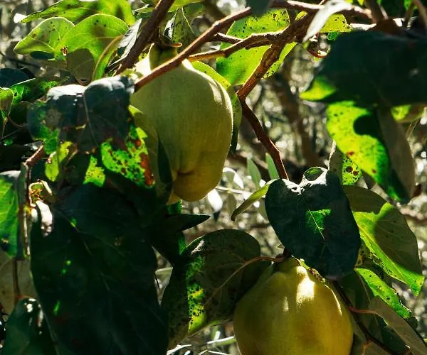 Casa Nova Casa de hóspedes