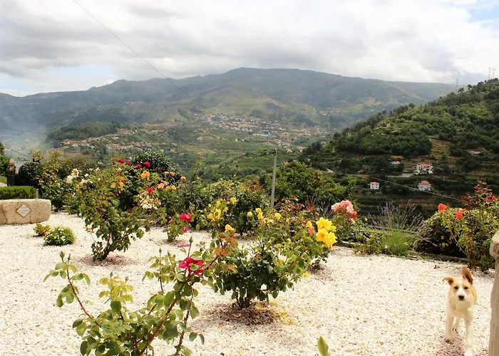 Casa de hóspedes Casa Nova Resende