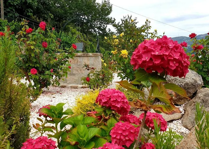 Casa de hóspedes Casa Nova Resende