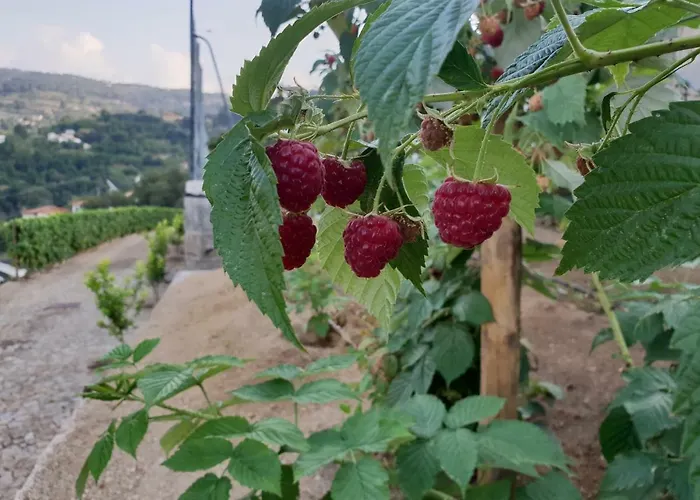 Casa de hóspedes Casa Nova 4*